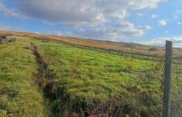 Teren extravilan, 7800 mp, intrare în Șimleu Silvanie