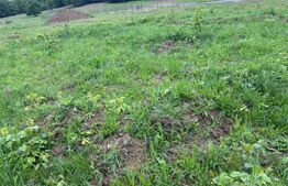 Teren de vânzare Central - 160625TV | BLITZ Zalău | Poza1