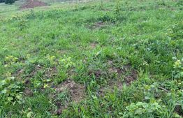 Teren de vanzare, zona linistita 