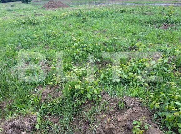 Teren de vânzare Exterior-Sud - 181462TV | BLITZ Zalău | Poza3