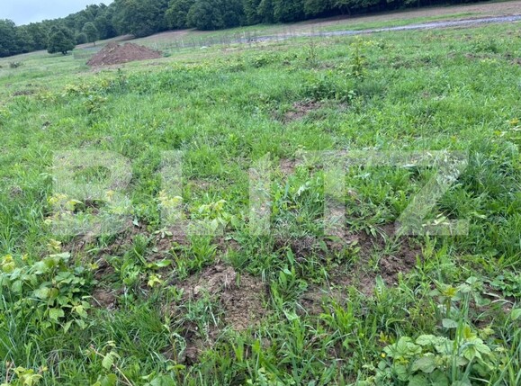 Teren de vânzare Exterior-Sud - 181462TV | BLITZ Zalău | Poza1