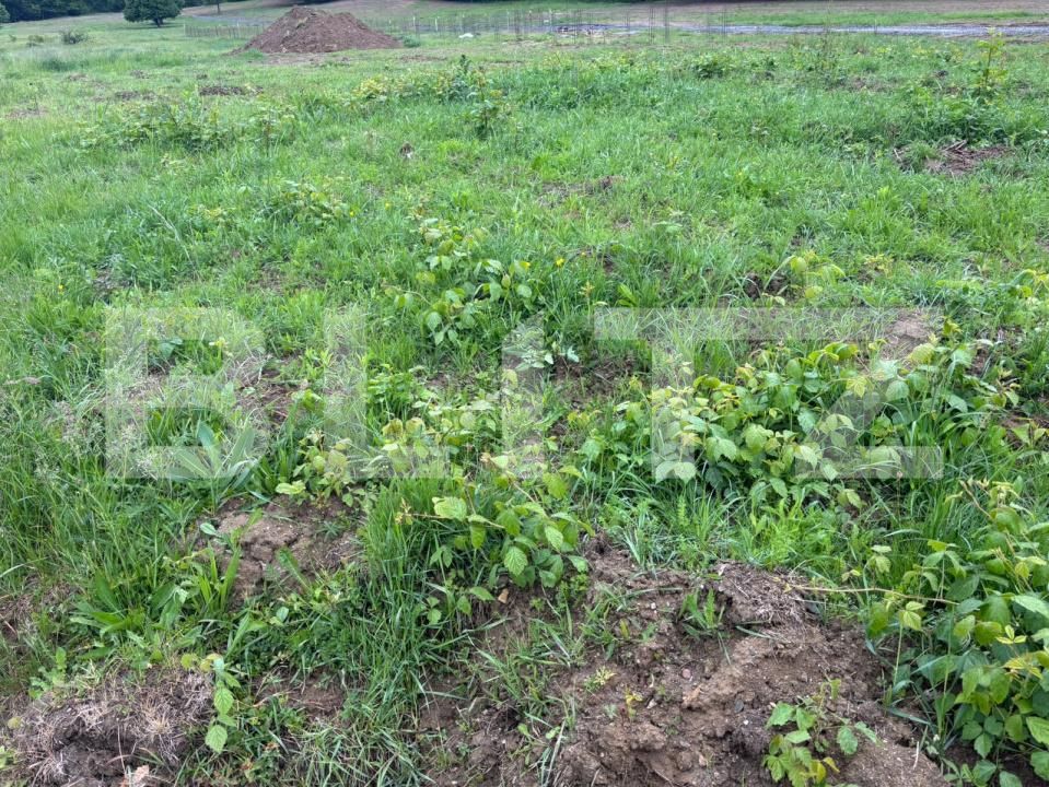 Teren de vânzare Exterior-Sud - 181462TV | BLITZ Zalău | Poza3