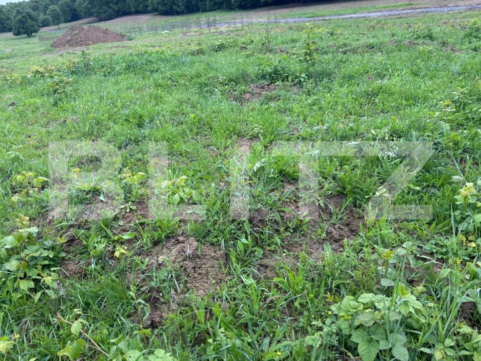 Teren de vânzare Exterior-Sud - 181462TV | BLITZ Zalău | Poza2