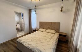 Apartament 3 camere, 100 mp, strada Crasnei 