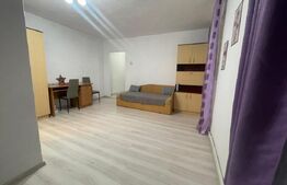 Garsoniera de vanzare, 30 mp, zona Centrala