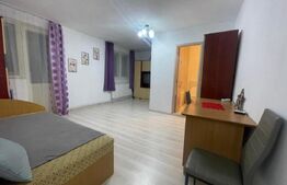 Garsoniera de vanzare, 30 mp, zona Centrala