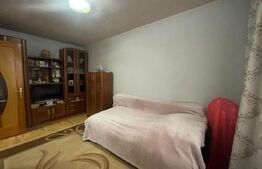 Apartament de 2 camere, 45 mp si balcon, zona CENTRALA