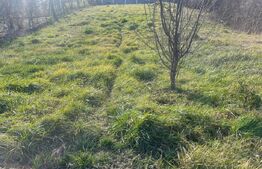 Teren Intravilan, zona linistita, Livada Meses