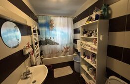 Apartament de 3 camere, Dumbrava Nord