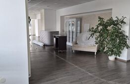 Spatiu comercial 123 mp, zona Gheorghe Doja