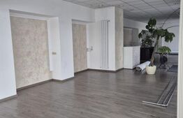 Spatiu comercial 123 mp, zona Gheorghe Doja