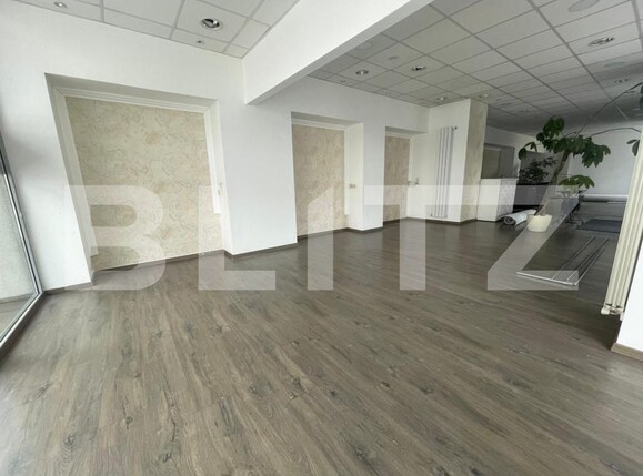 Spațiu comercial de închiriat Sud - 185649SIC | BLITZ Zalău | Poza7