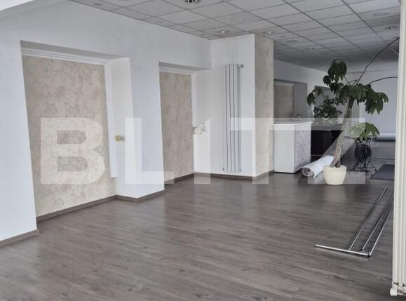 Spațiu comercial de închiriat Sud - 185649SIC | BLITZ Zalău | Poza2