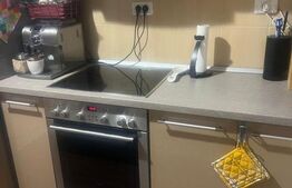 Mansardă de închiriat - zona Bradet 