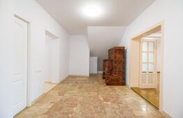 Spatiu comercial, 62 mp, zona Corneliu Coposu