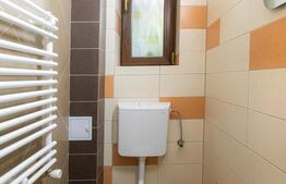 Spatiu comercial, 62 mp, zona Corneliu Coposu