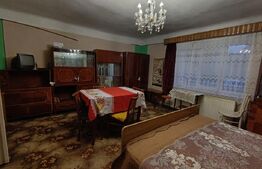 Casa cu 4 camere, baie, bucatarie, anexe, pivniță, teren 1000 mp