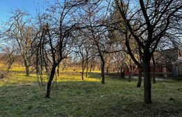 Casa cu 4 camere,baie, bucatarie,anexe.pivniță teren 2500 mp