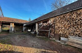 Casa cu 4 camere,baie, bucatarie,anexe.pivniță teren 2500 mp