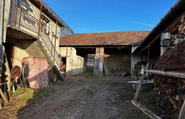 Casa cu 4 camere,baie, bucatarie,anexe.pivniță teren 2500 mp