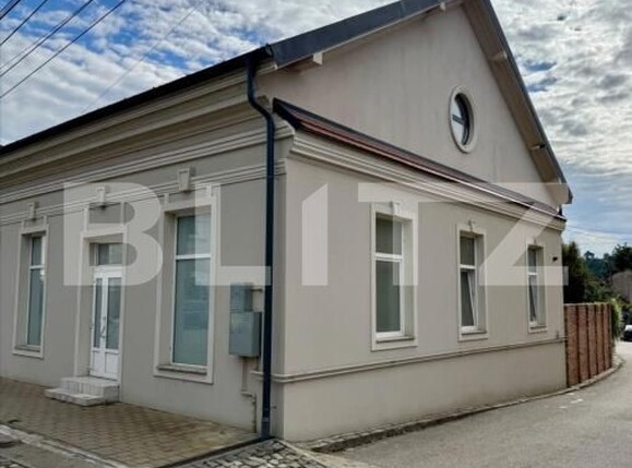 Spațiu comercial de închiriat Simleu Silvaniei - 188991SIC | BLITZ Zalău | Poza3