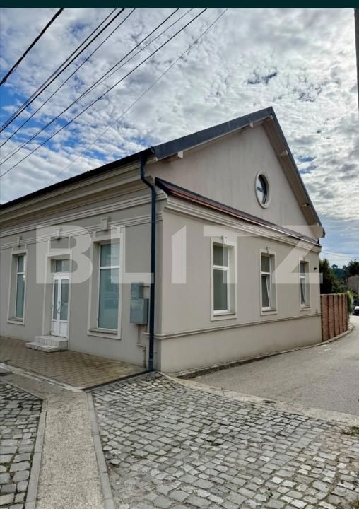 Spațiu comercial de închiriat Simleu Silvaniei - 188991SIC | BLITZ Zalău | Poza3