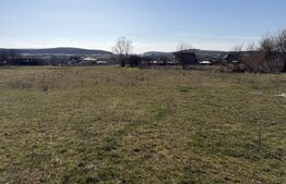 Teren intravilan in localitatea Hereclean in suprafata de 5800 mp