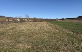 Teren intravilan in localitatea Hereclean in suprafata de 5800 mp