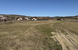 Teren intravilan in localitatea Hereclean in suprafata de 5800 mp