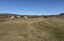 Teren intravilan in localitatea Hereclean in suprafata de 5800 mp