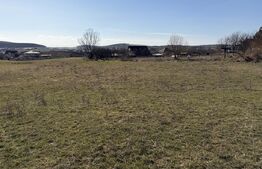 Teren intravilan in localitatea Hereclean in suprafata de 5800 mp