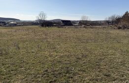 Teren intravilan in localitatea Hereclean in suprafata de 5800 mp