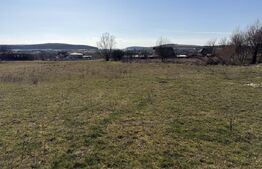 Teren intravilan in localitatea Hereclean in suprafata de 5800 mp