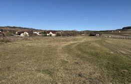 Teren intravilan in localitatea Hereclean in suprafata de 5800 mp