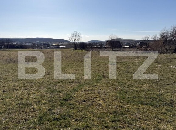 Teren de vânzare Hereclean - 189983TV | BLITZ Zalău | Poza3