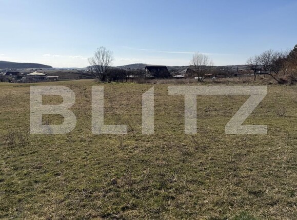 Teren de vânzare Hereclean - 189983TV | BLITZ Zalău | Poza2