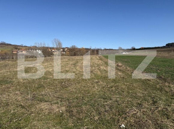 Teren de vânzare Hereclean - 189983TV | BLITZ Zalău | Poza5