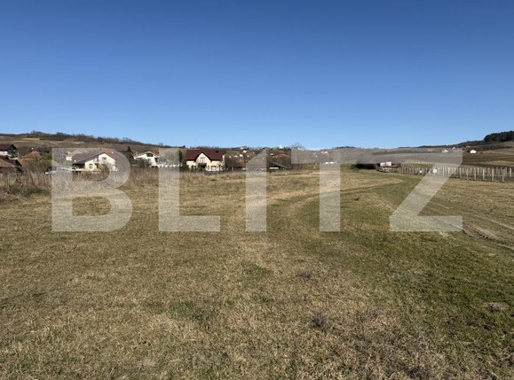 Teren de vânzare Hereclean - 189983TV | BLITZ Zalău | Poza7