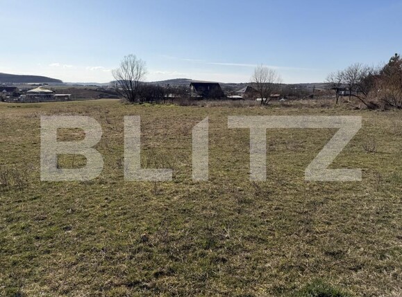 Teren de vânzare Hereclean - 189983TV | BLITZ Zalău | Poza1