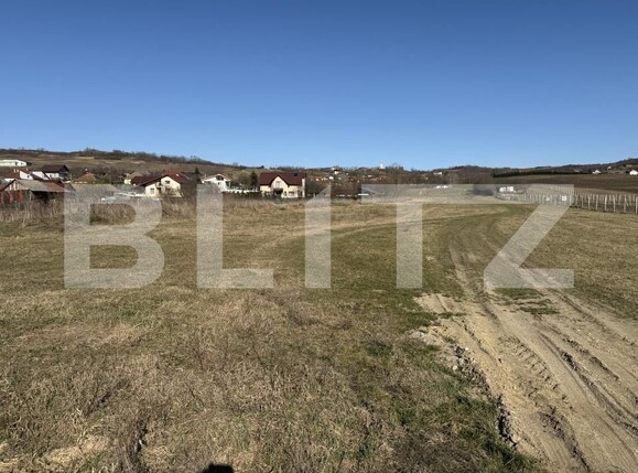 Teren de vânzare Hereclean - 189983TV | BLITZ Zalău | Poza8