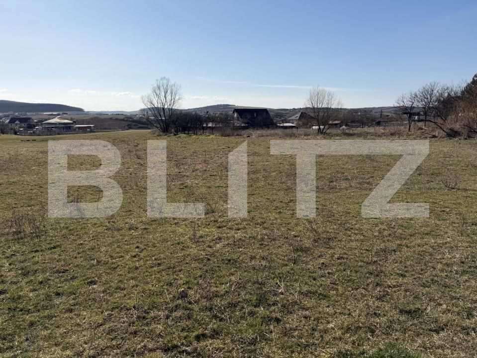 Teren de vânzare Hereclean - 189983TV | BLITZ Zalău | Poza2