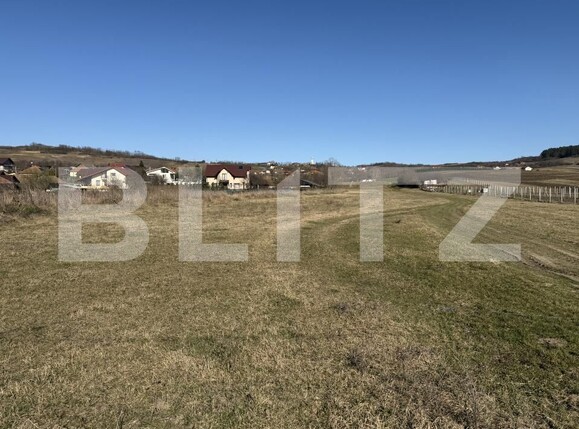 Teren de vânzare Hereclean - 189984TV | BLITZ Zalău | Poza2