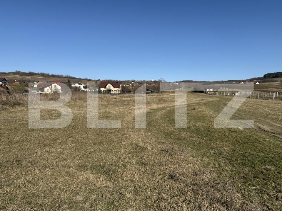 Teren de vânzare Hereclean - 189984TV | BLITZ Zalău | Poza2