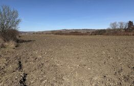 Teren extravilan in suprafata de 4000 mp in loc. Hereclean