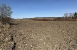 Teren extravilan in suprafata de 4000 mp in loc. Hereclean