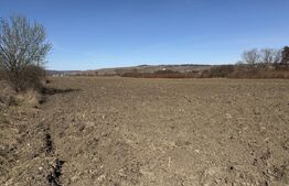 Teren extravilan in suprafata de 4000 mp in loc. Hereclean