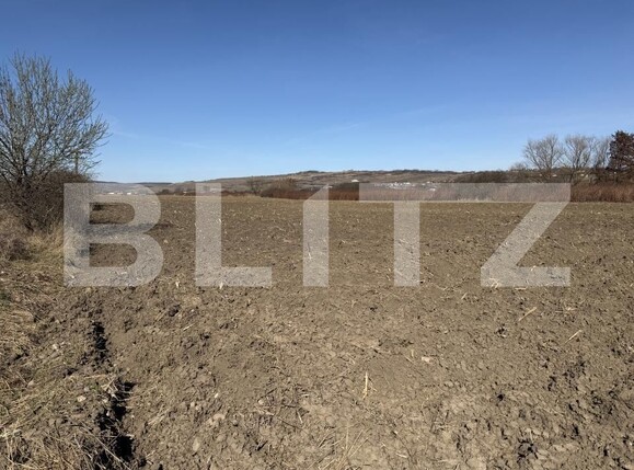 Teren de vânzare Hereclean - 190196TV | BLITZ Zalău | Poza2