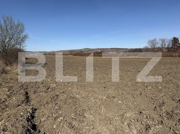 Teren de vânzare Hereclean - 190196TV | BLITZ Zalău | Poza1