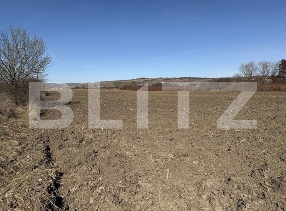 Teren de vânzare Hereclean - 190196TV | BLITZ Zalău | Poza3