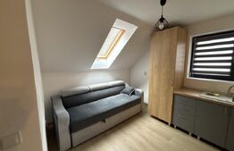 Apartament o camera, 35 mp, zona Centru